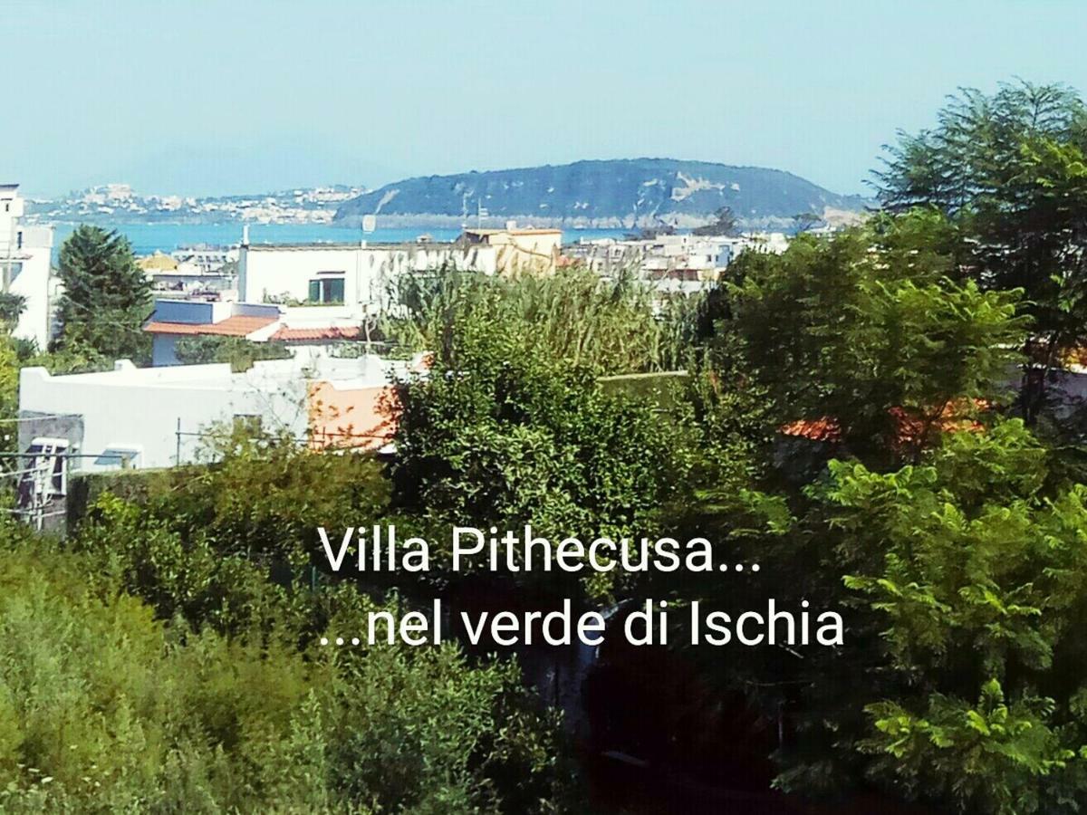 Villa Pithecusa Ischia Kültér fotó